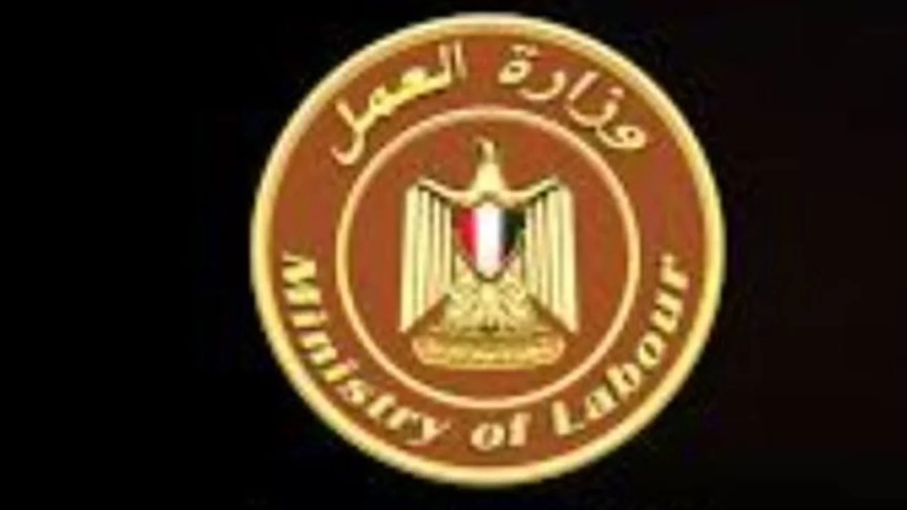 فرص عمل جديدة.. وزارة العمل تعلن عن وظائف بميناء دمياط برواتب مغرية